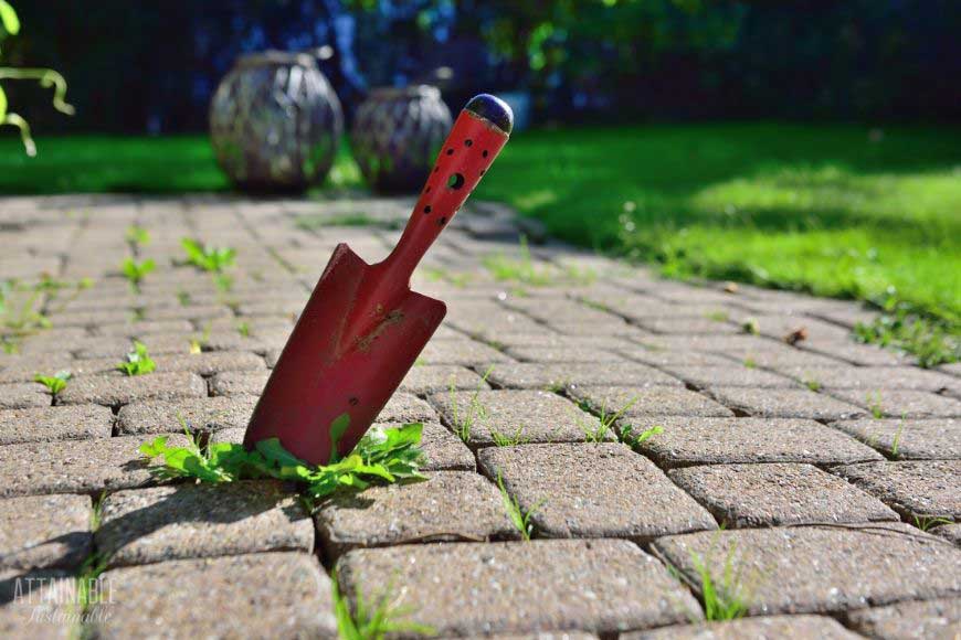 red trowel in a block patio with weeds