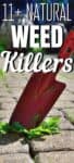 red trowel up close