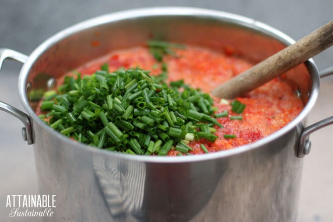 green onions sitting atop red mixture in a large stock pot