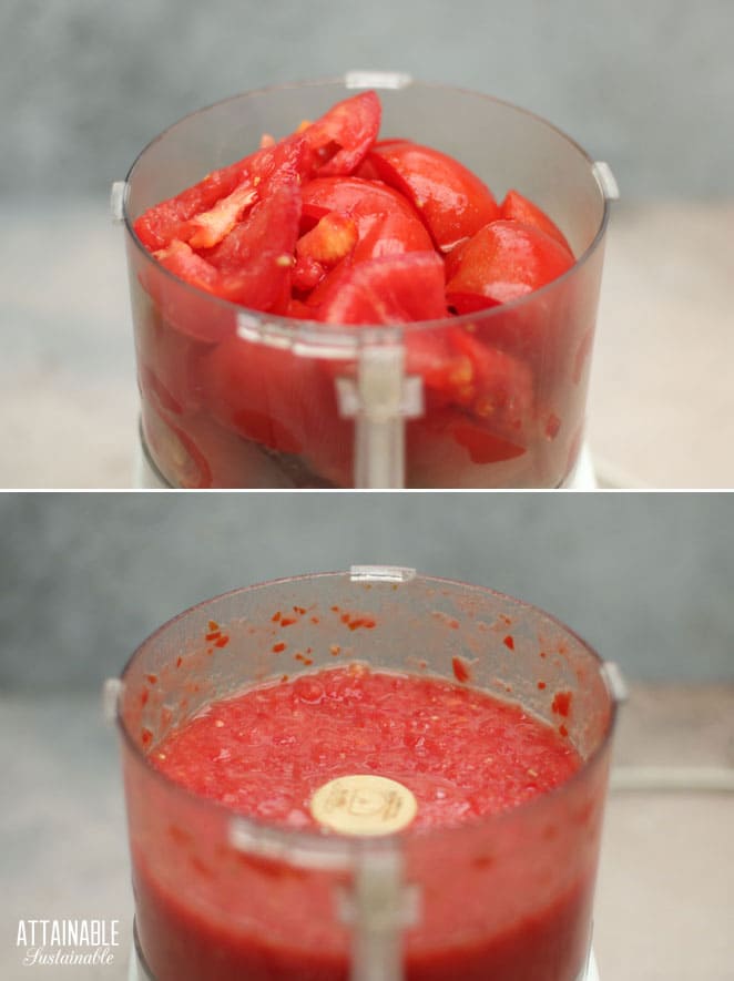 tomatoes in a food processor, before and after processing