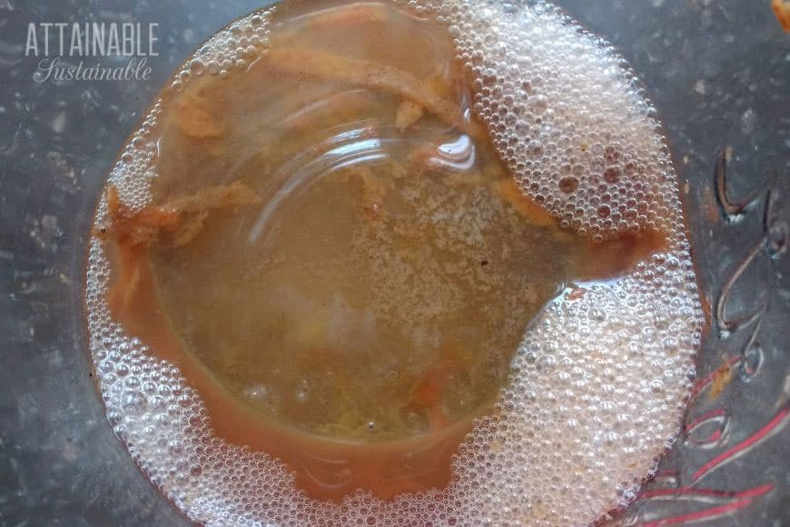 bubbling fermented carrots