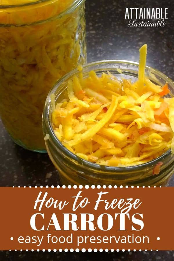 How to Freeze Carrots for Cooking and Baking Attainable Sustainable®