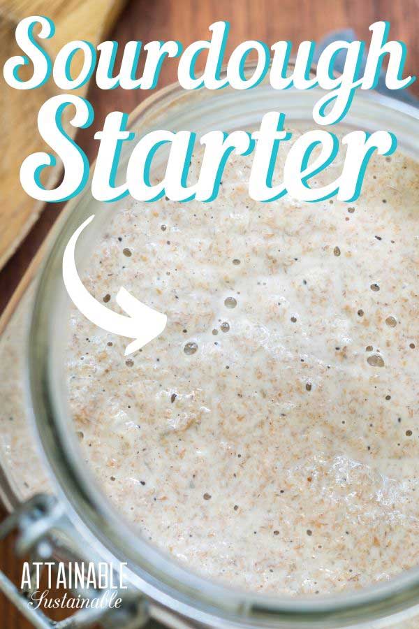 Sourdough Starter Recipe Without Yeast Make Your Own Bread