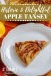 apple tansey slice in a white dish
