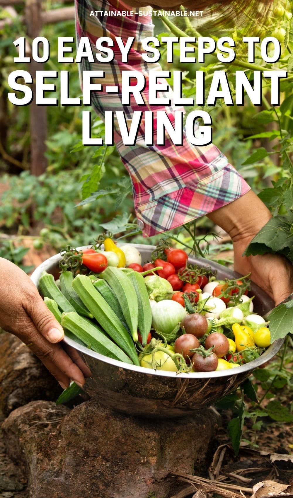 two hands holding a basket full of freshly harvested vegetables.