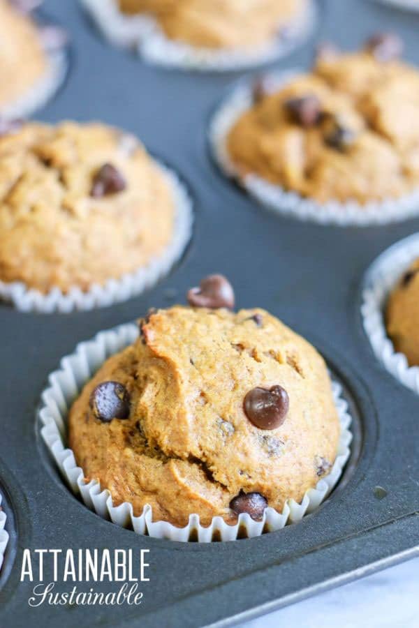 pumpkin banana muffins fresh out of the oven