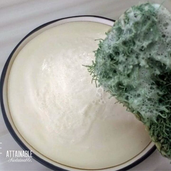 solid dish soap bar with a green crocheted sponge.