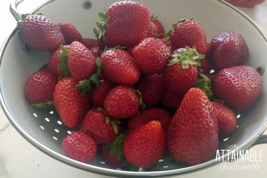 strawberries in a colander