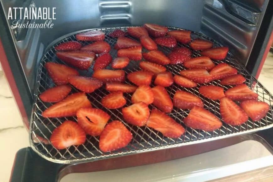 air fryer tray with fresh berries
