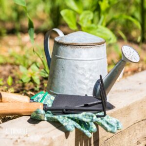 metal watering can with trowel and gloves.
