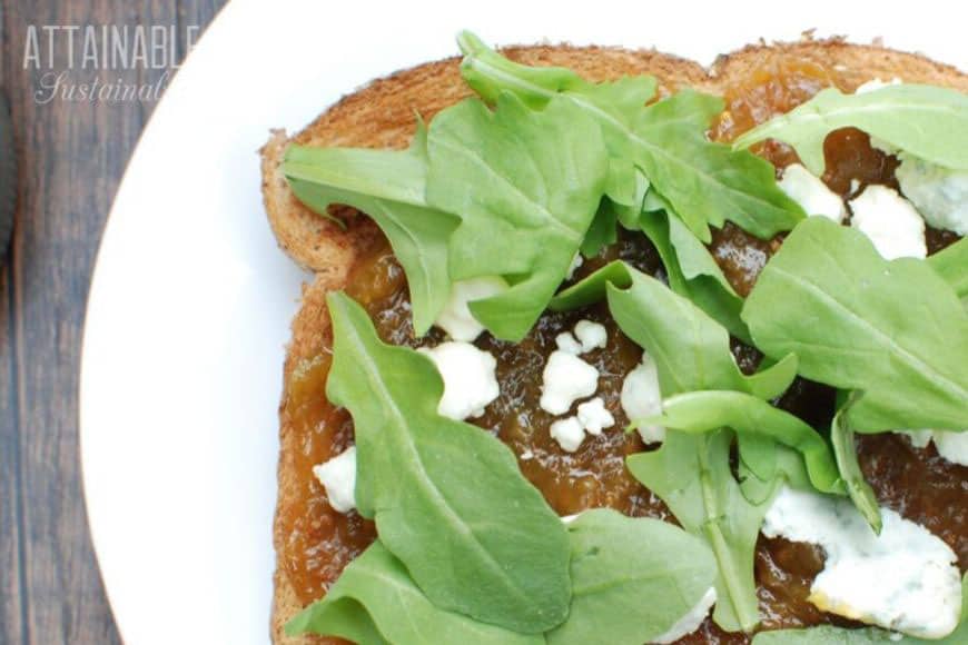 toasted bread with arugula, fig jam, and feta