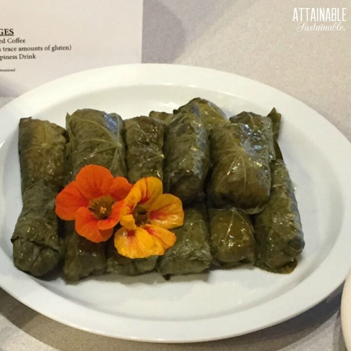 stuffed nasturtium leaves on a white plate, with one orange and one yellow nasturtium flower.