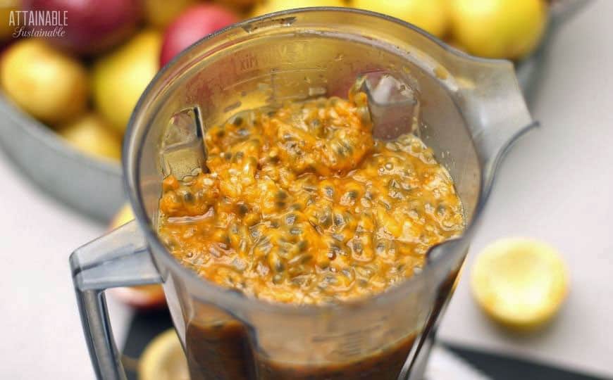 passion fruit pulp in a blender.