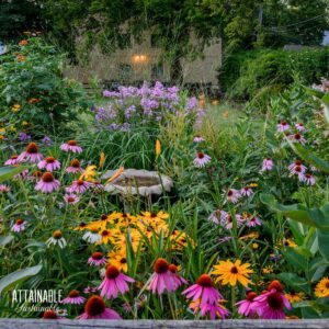 colorful perennial flowers around a bird bath.