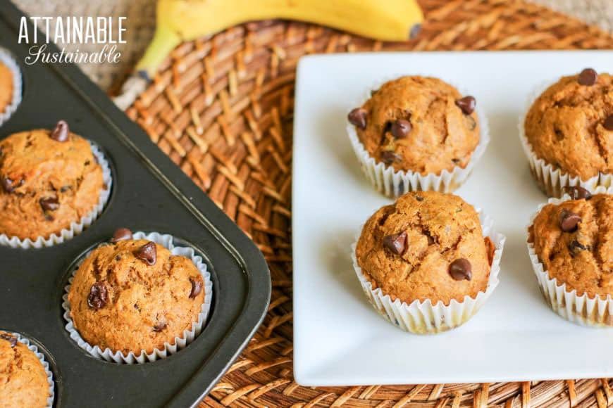 pumpkin banana muffins