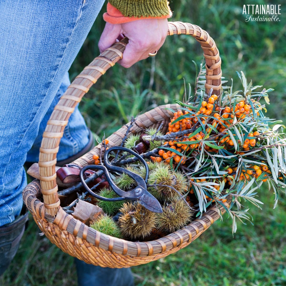 hand holding a basket full of foraged food.