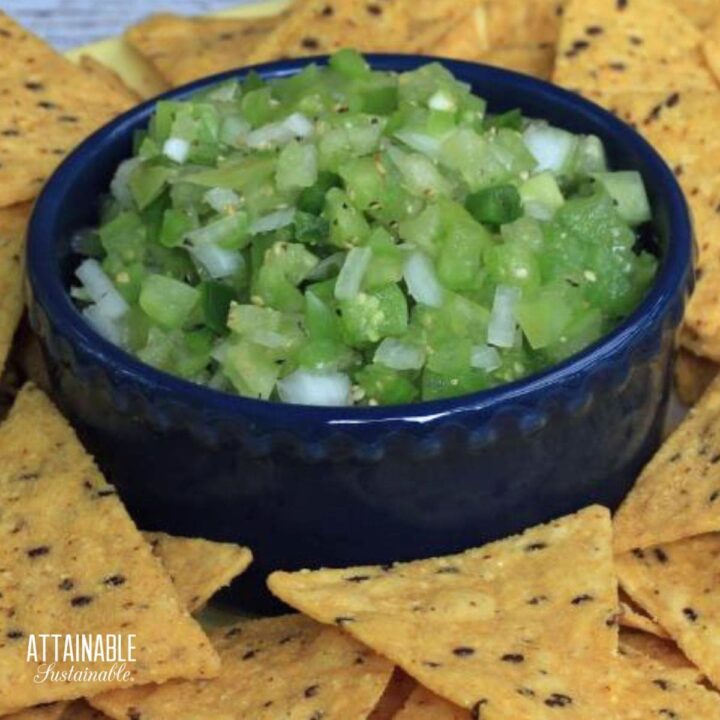 chunky tomatillo salsa in a dark blue bowl surrounded by tortilla chips.