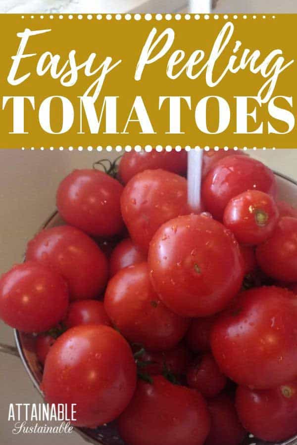 How to Peel Tomatoes Easily Attainable Sustainable®