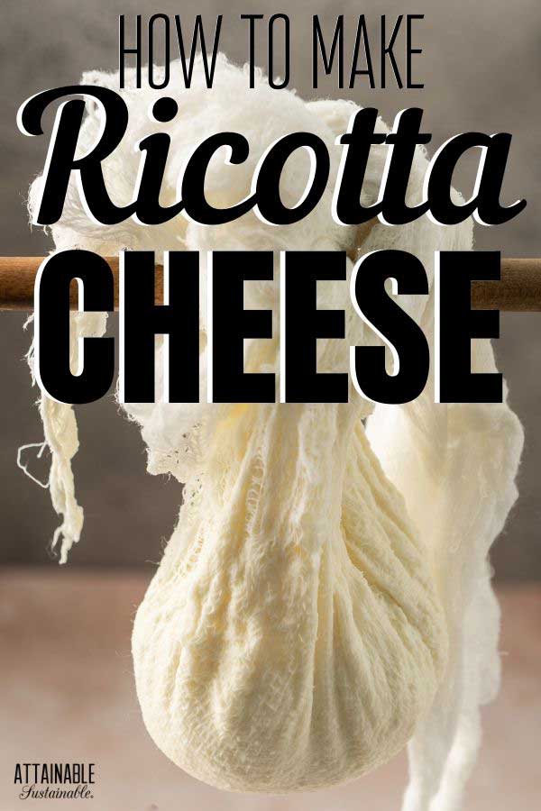 ricotta cheese hanging in cheesecloth