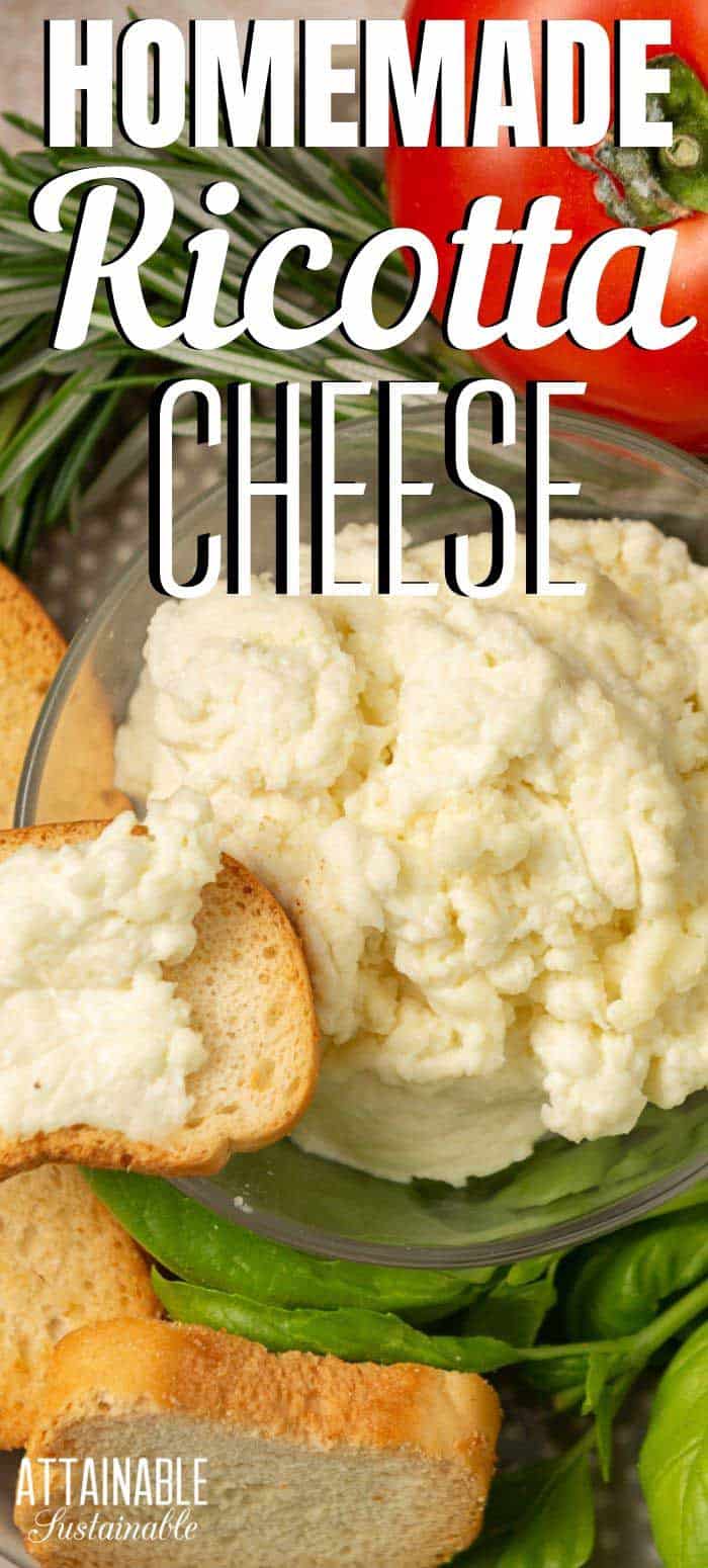 How to Make Ricotta Cheese A "Beginner" Cheese to Tackle at Home