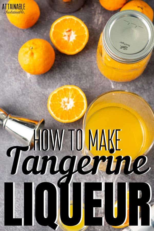 ingredients for homemade tangerine Triple Sec from above - sliced oranges