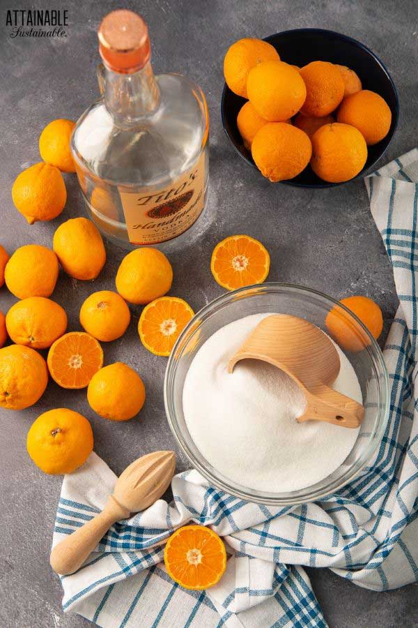 ingredients for tangerine homemade Triple Sec liqueur from above - sliced oranges, vodka, sugar