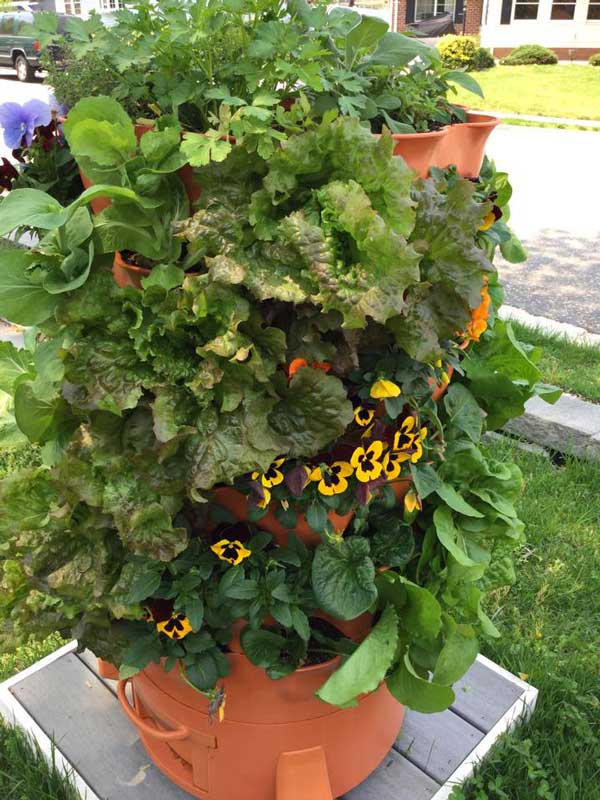 garden tower filled with vegetables and pansies.