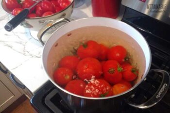 tomatoes simmering in a pot