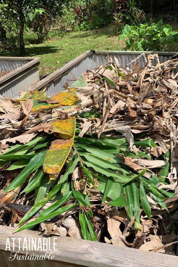 raised bed with green waste inside