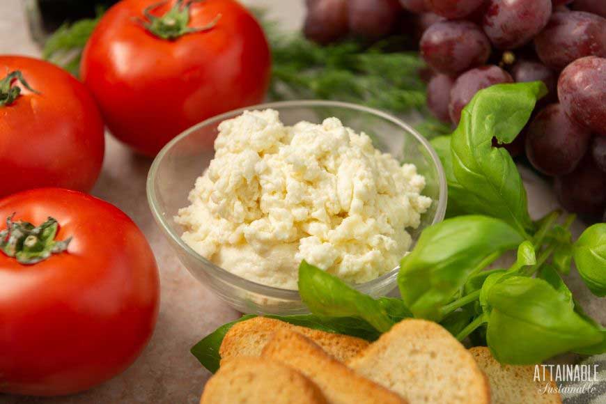 homemade ricotta cheese in a glass bowl