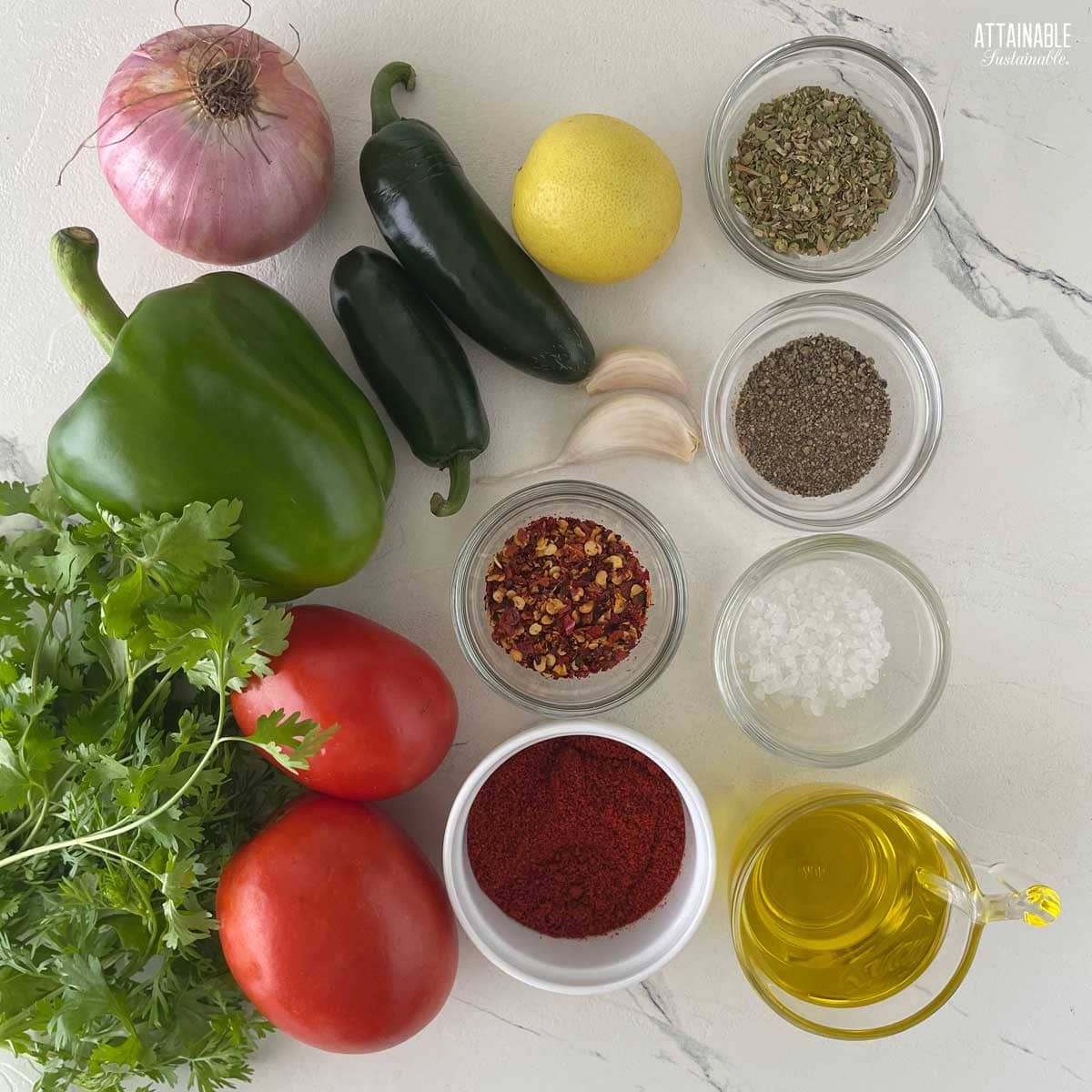 ingredients for making spicy salsa on a marble backdrop. Peppers, tomatoes, cilantro, onion, seasonings.