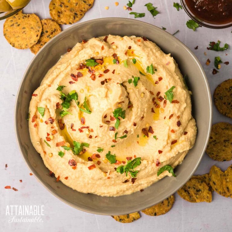 Deliciously Spicy Hummus Recipe