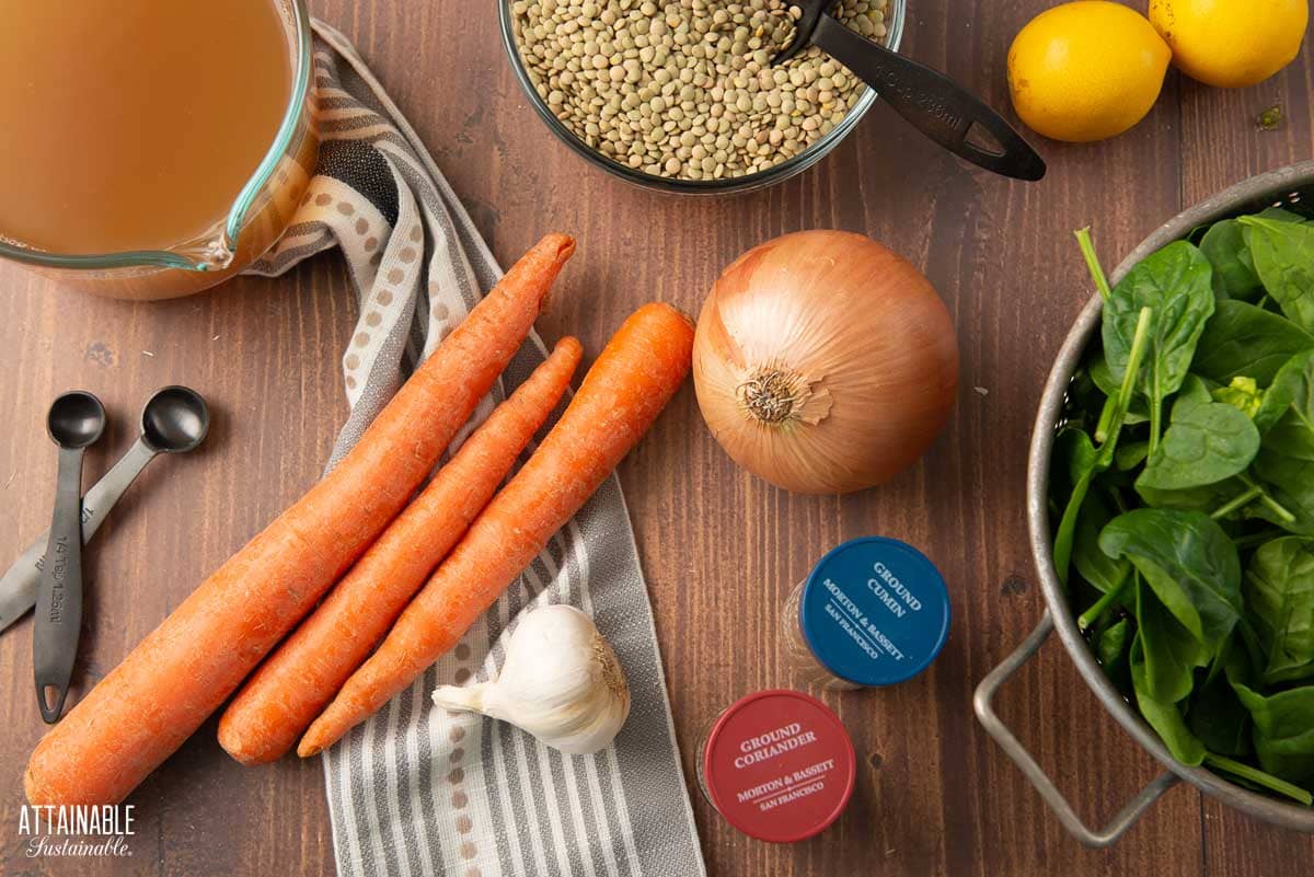 fresh ingredients for homemade lentil soup.