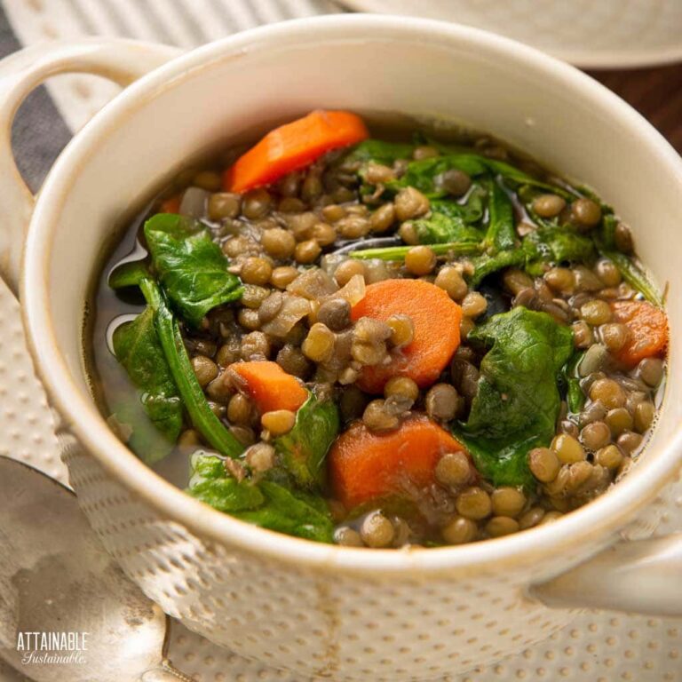 Fast-Fixing Hearty Vegan Lentil Soup Recipe for Busy Cooks