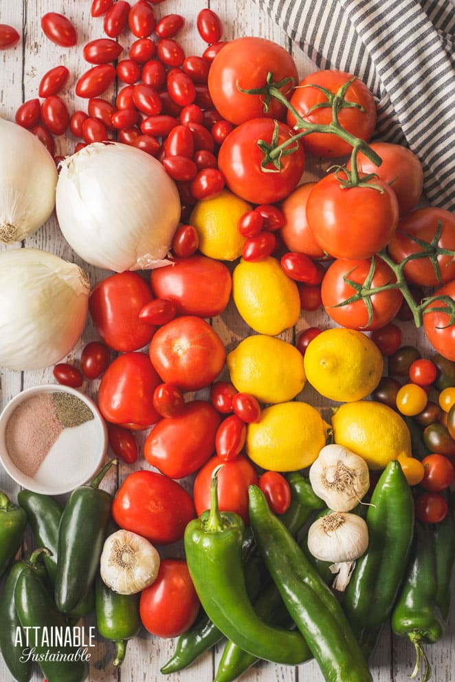 tomatoes, onion, lemon, peppers on a surface