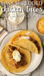 white plate with two tacos in corn tortillas.