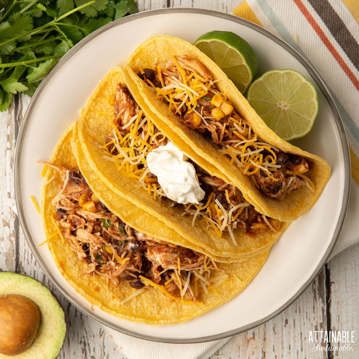 three shredded salsa chicken tacos in corn tortillas on a white plate.