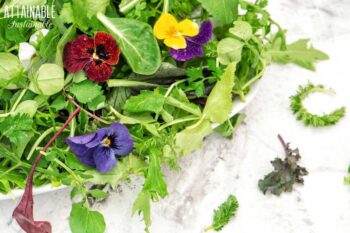 salad in a white bowl with edible flowers