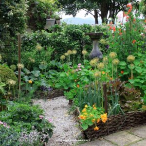 vigorously growing garden in wicker raised beds with annual and perennial plants.