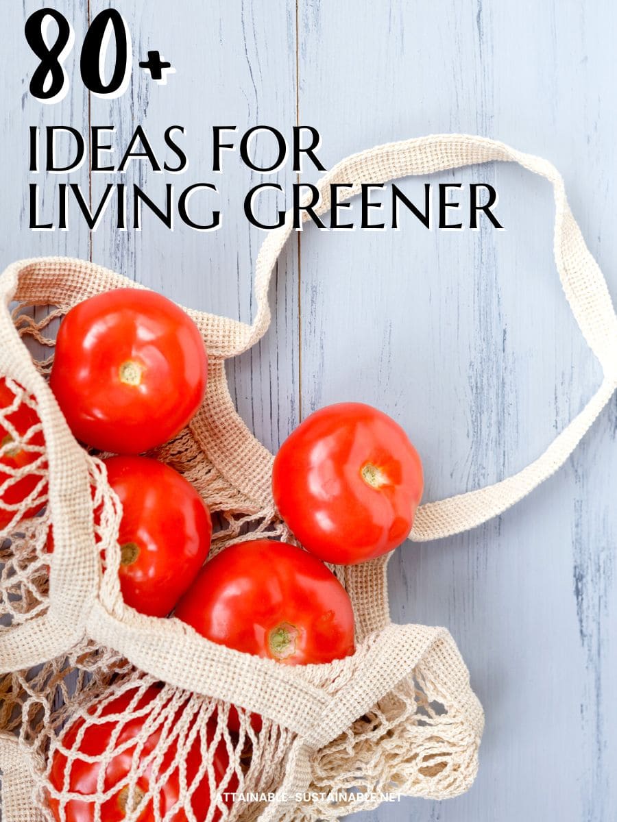 tomatoes in a mesh bag on a grey/blue background with words saying 80 ideas for living greener.