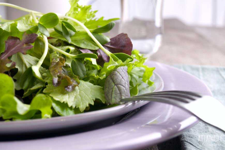 green salad on a white plate