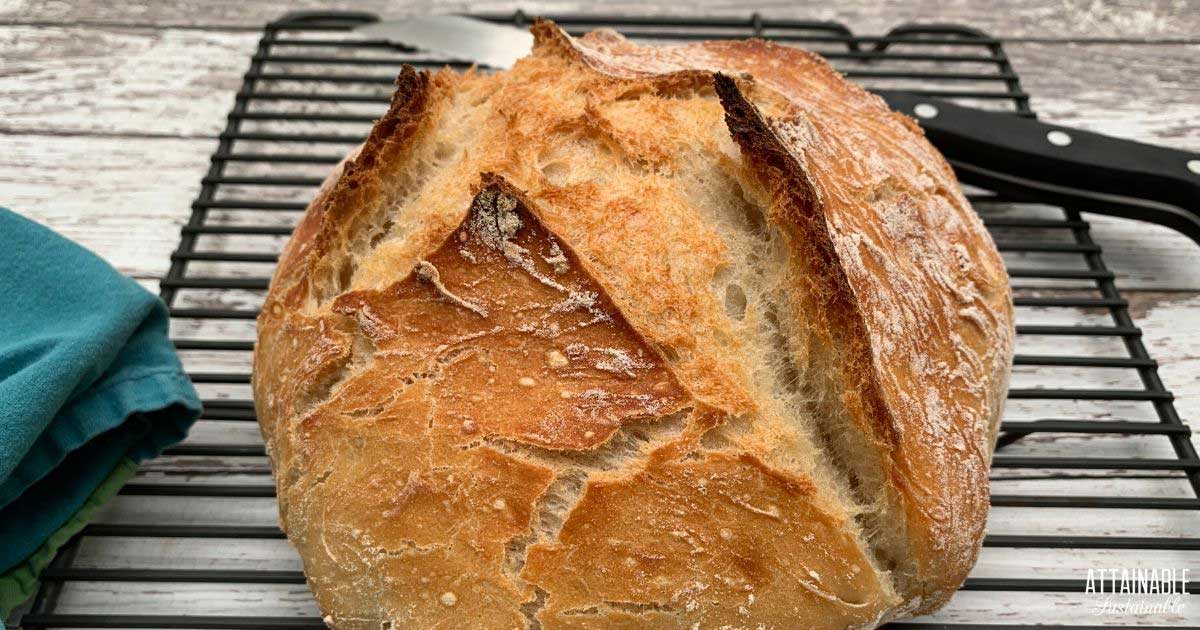 cooked no-knead rustic bread loaf on a wire rack