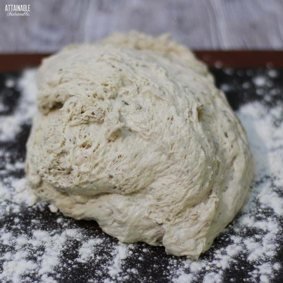 unformed bread dough.