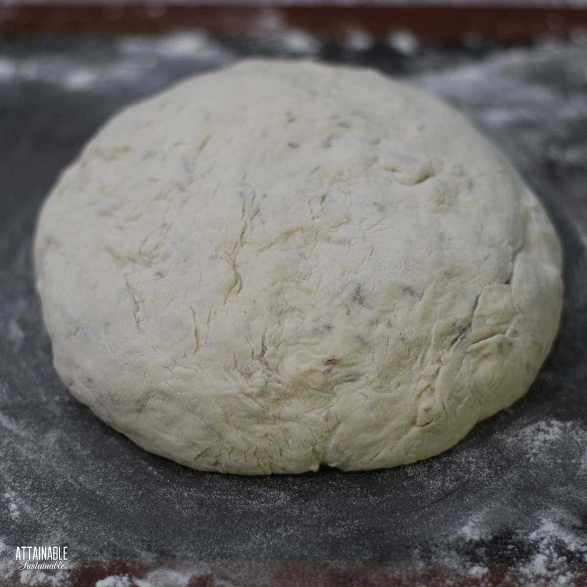 found loaf of bread dough.