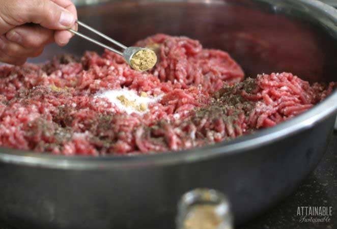 measuring spoon adding ginger to ground pork for sausage