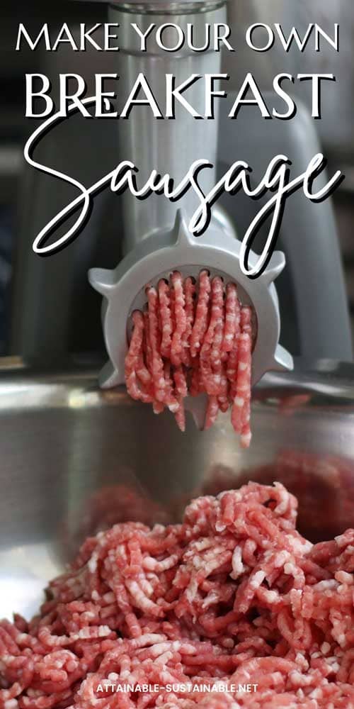 pork emerging from a grinder to make a homemade breakfast sausage recipe