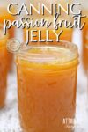 half pint canning jars of orange passion fruit jelly.