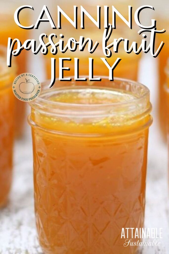 Passion Fruit Jelly A Delicious Tropical Breakfast Spread