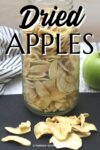 dried apple slices on a black background.