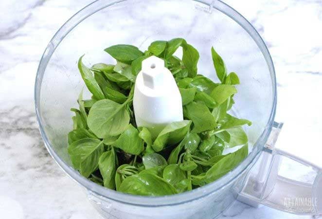 fresh green leaves in a food processor.